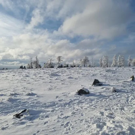 Schanzenblick Apartment *