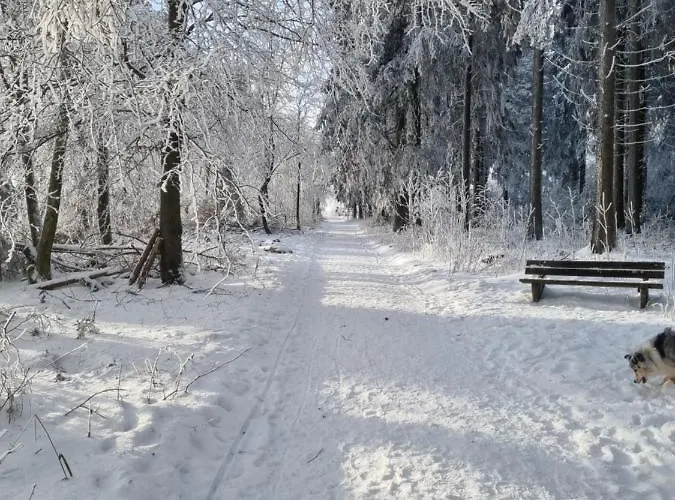 Appartement Schanzenblick