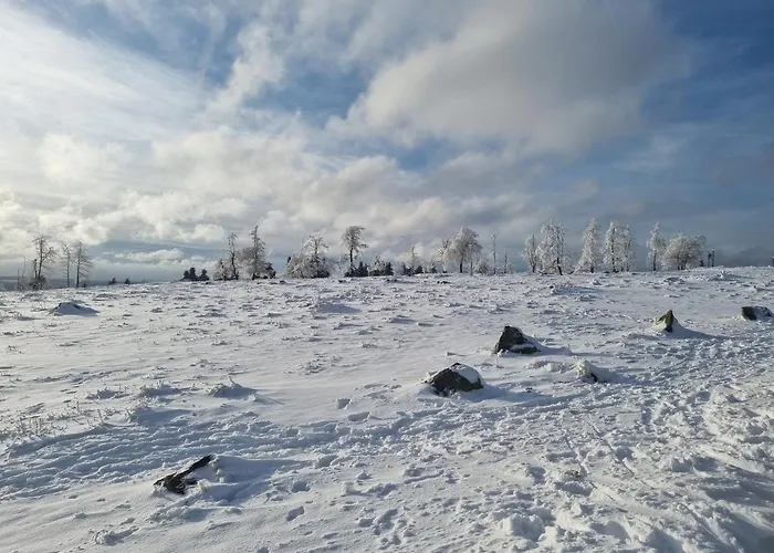 Schanzenblick Appartement *